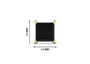 X Small Yellow